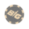 BIG coin